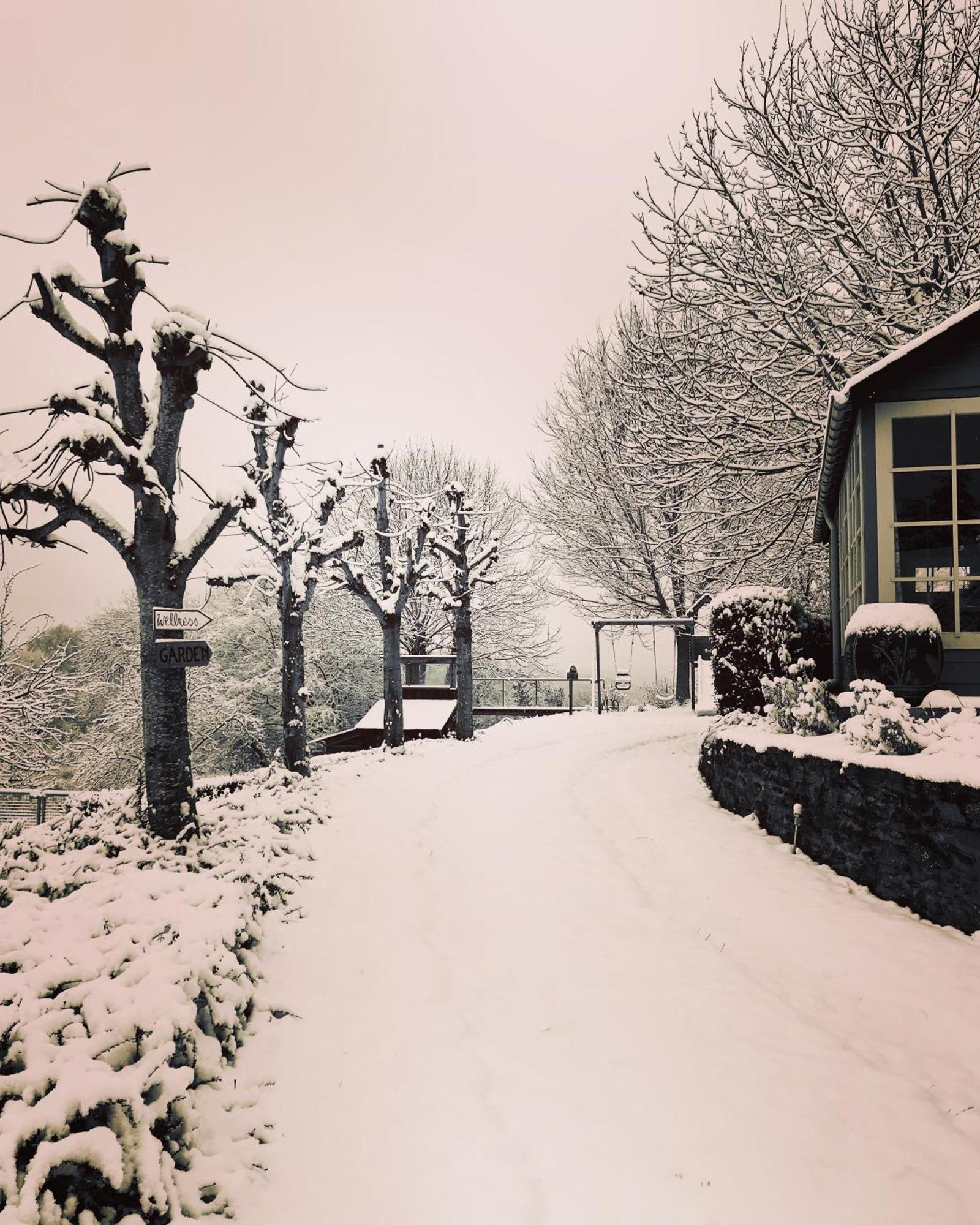 La Vieille Forge B&B ホッファライズ エクステリア 写真